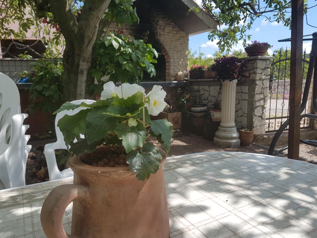 Apartment Adis Šibenik Dış mekan fotoğraf