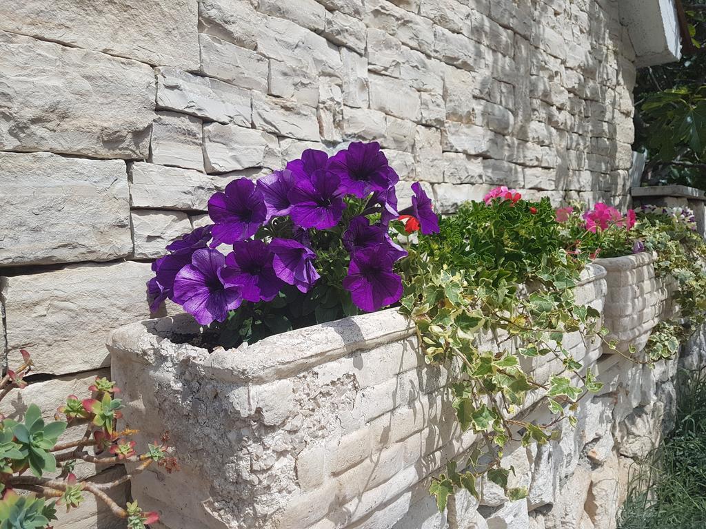 Apartment Adis Šibenik Dış mekan fotoğraf